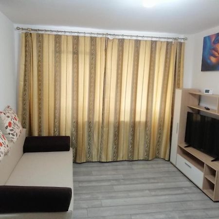 Central City Apartment Bacău Екстериор снимка