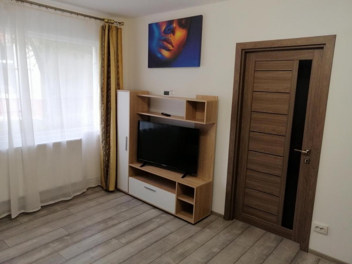 Central City Apartment Bacău Екстериор снимка