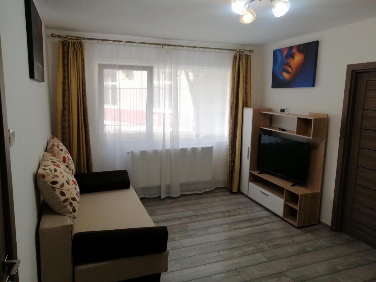 Central City Apartment Bacău Екстериор снимка